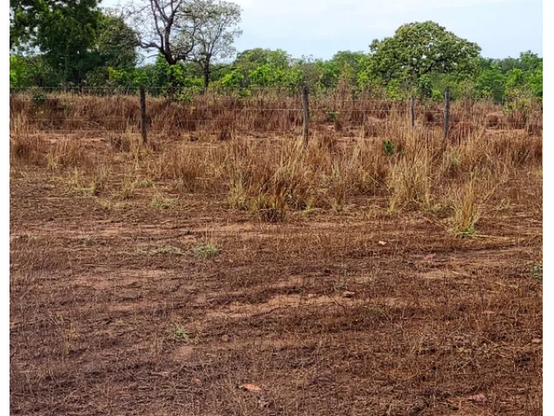Imóvel rural em Leilão Judicial