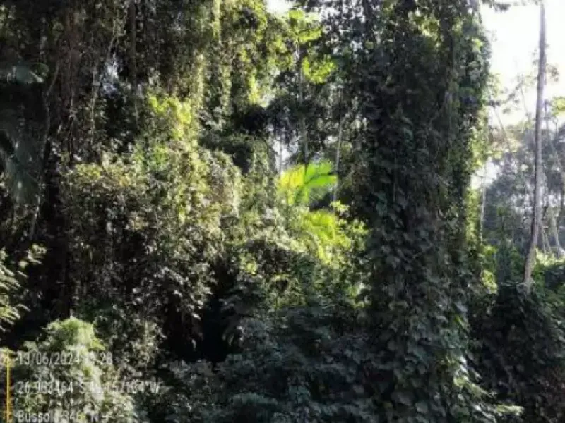 Terreno em Leilão Extrajudicial