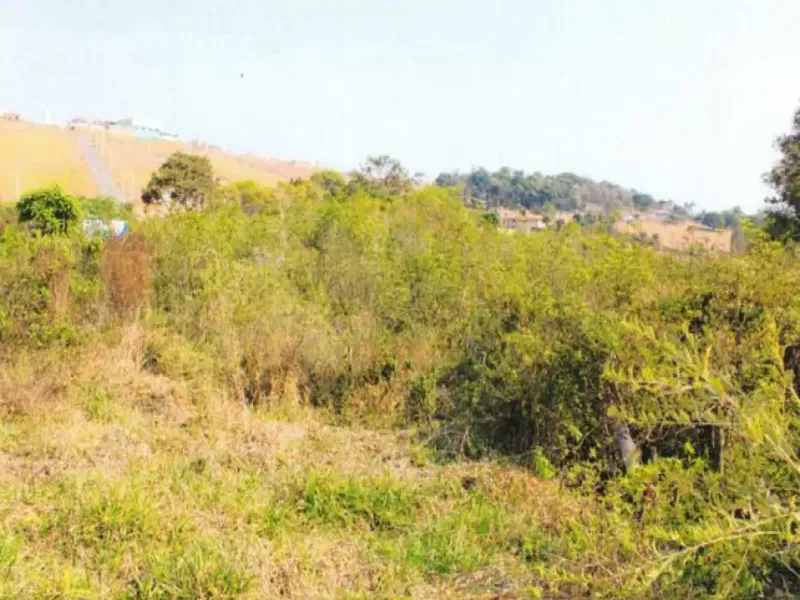 Imóvel rural em leilão