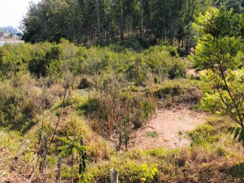 Imóvel rural em leilão