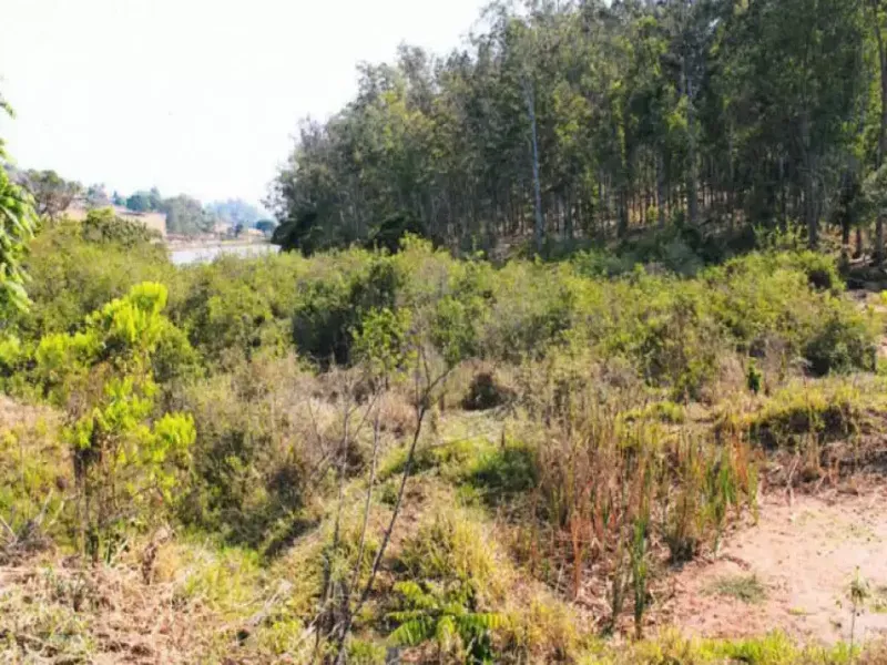 Imóvel rural em Leilão Extrajudicial