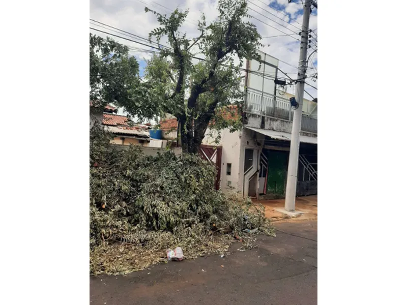 Terreno em leilão