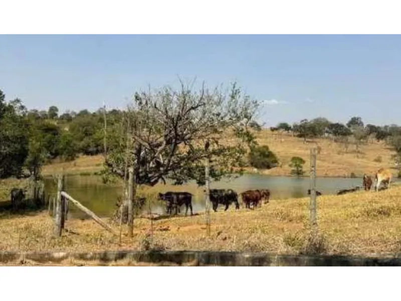 Imóvel rural em leilão