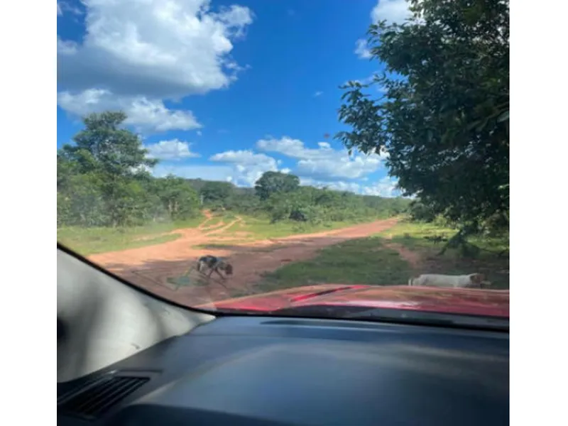 Imóvel rural em leilão