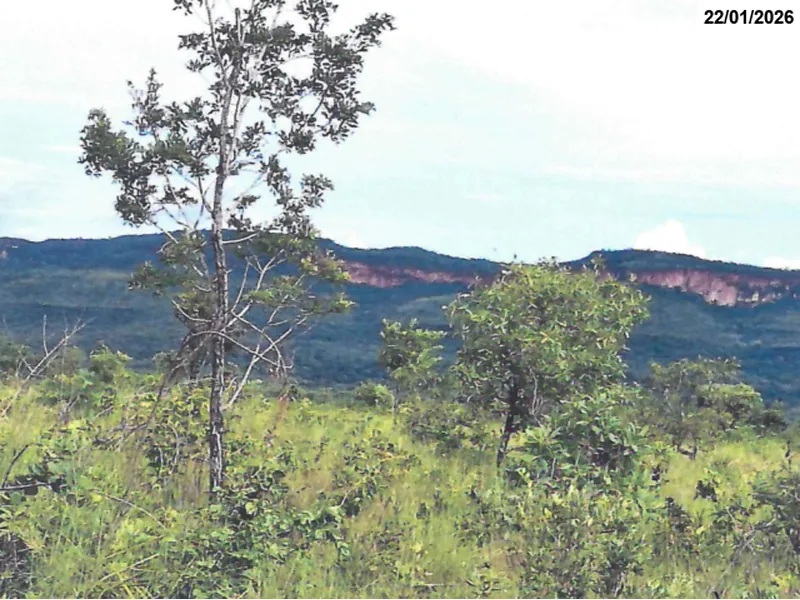 Imóvel rural em Leilão Extrajudicial