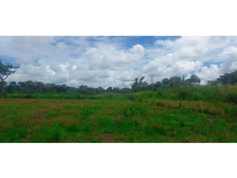 Imóvel rural em Leilão Judicial