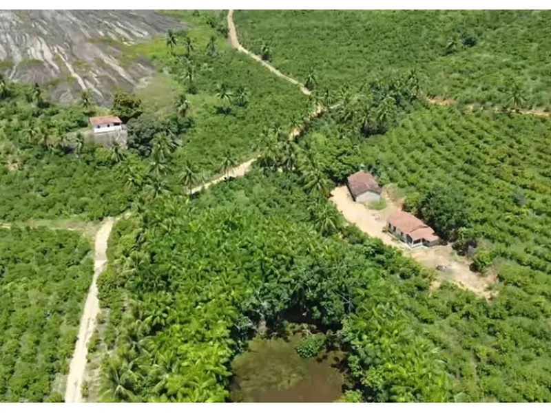 Imóvel rural em Leilão Judicial