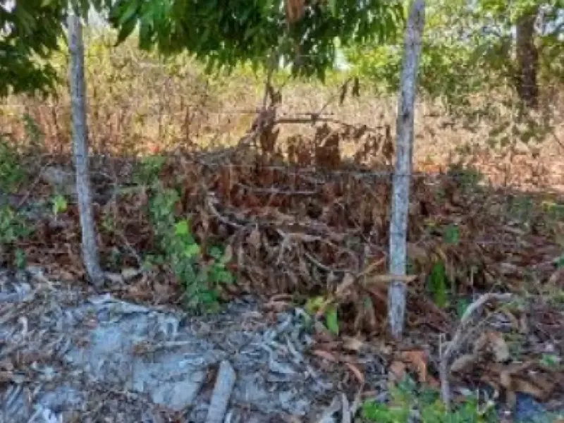 Terreno em leilão