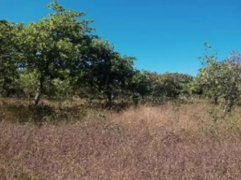 Terreno em Leilão Extrajudicial
