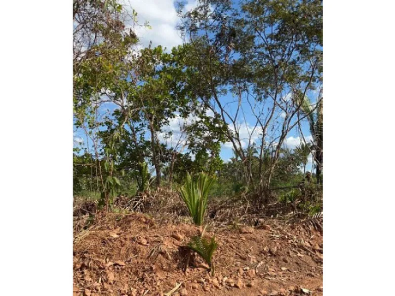 Imóvel rural em leilão