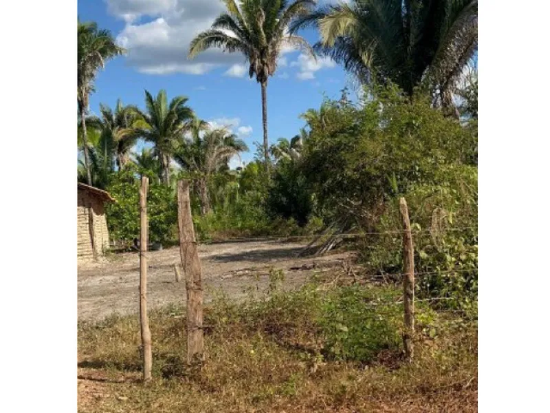 Imóvel rural em leilão