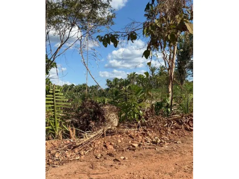 Imóvel rural em Leilão Judicial