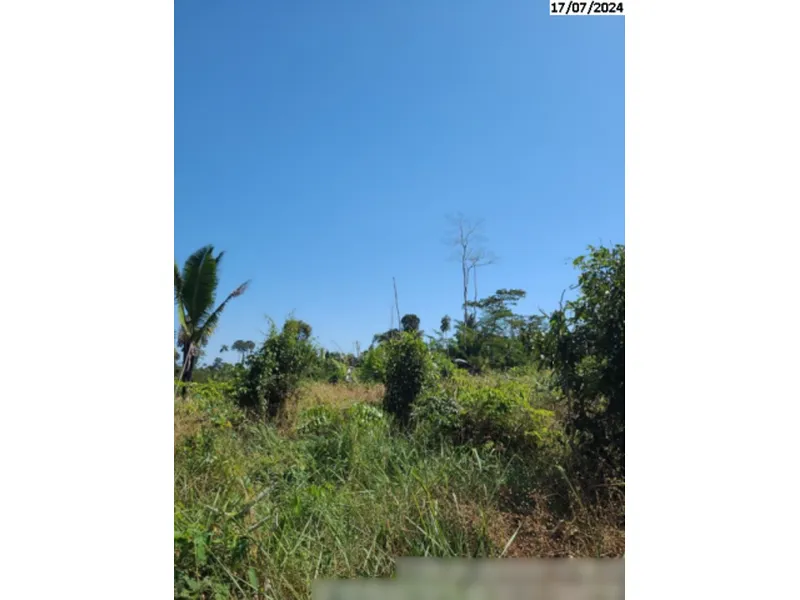 Imóvel rural em leilão