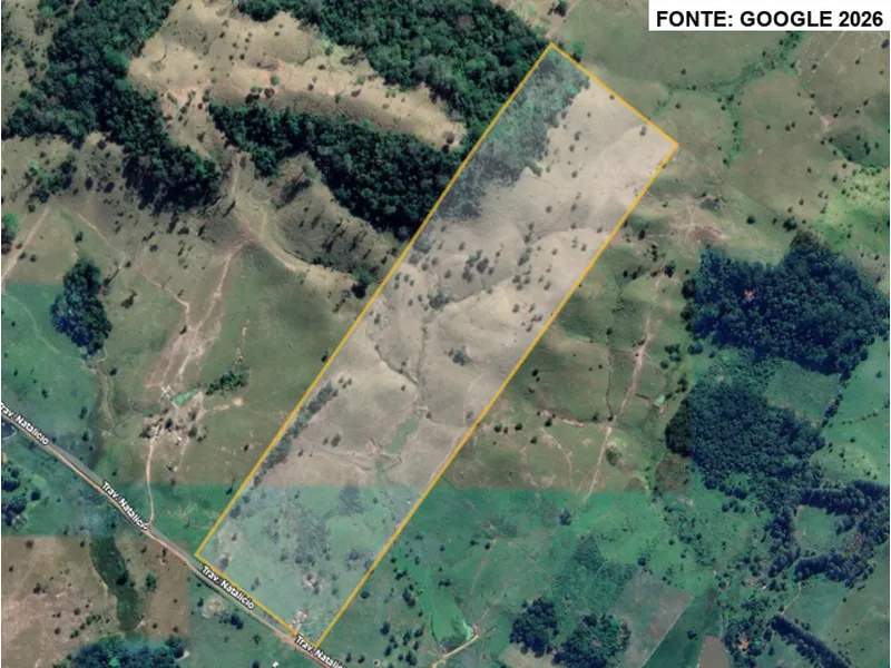 Imóvel rural em leilão