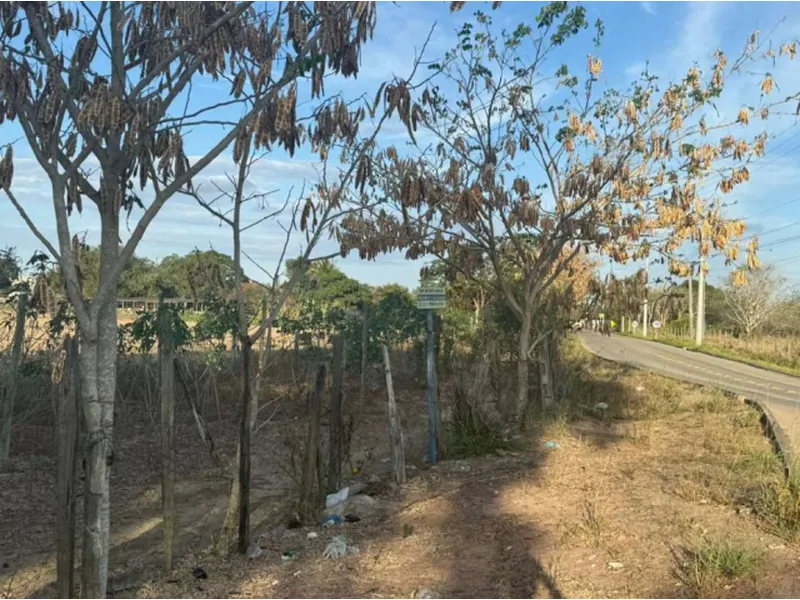 Imóvel rural em leilão