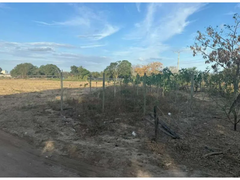 Imóvel rural em leilão