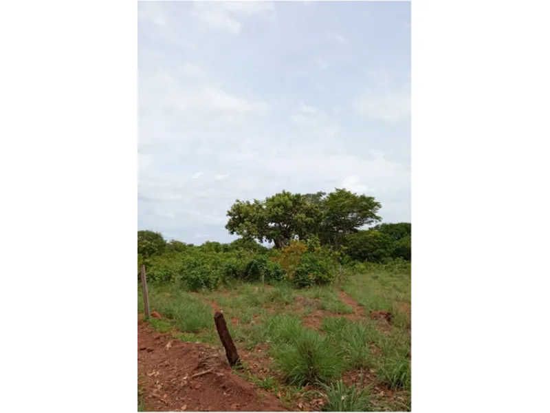 Imóvel rural em Leilão Judicial