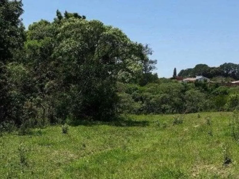 Imóvel rural em leilão