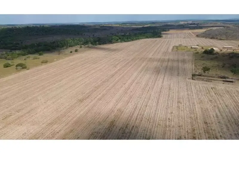 Imóvel rural em leilão