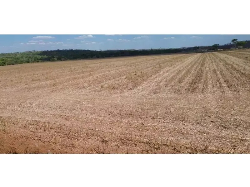 Imóvel rural em leilão