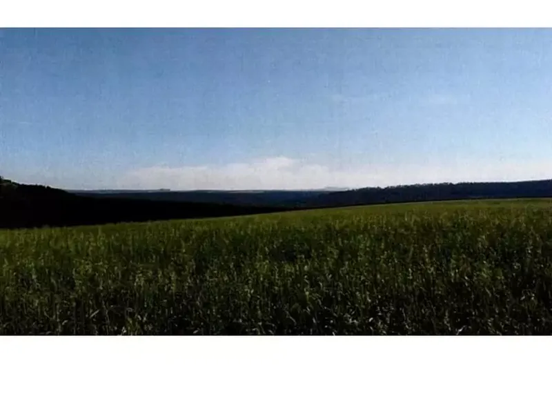 Imóvel rural em leilão