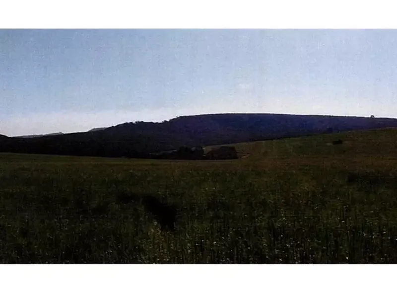 Imóvel rural em leilão