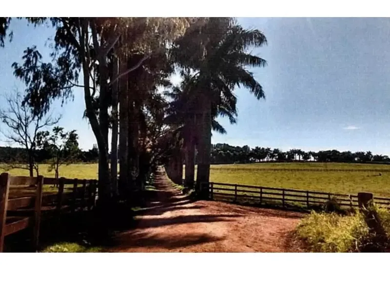 Imóvel rural em Leilão Judicial