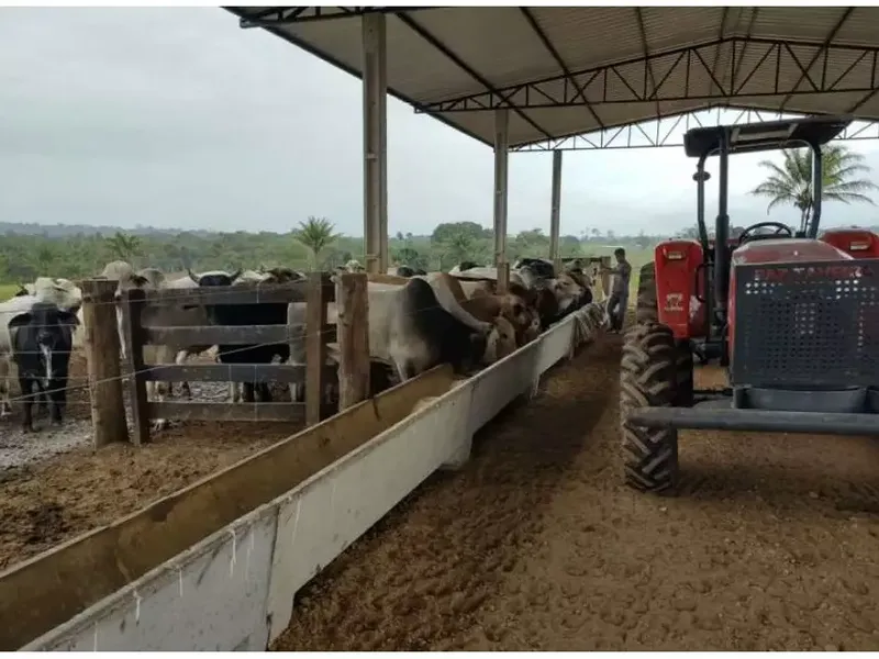 Imóvel rural em leilão