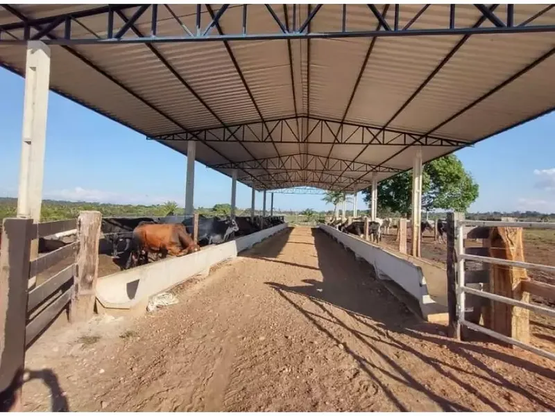 Imóvel rural em leilão