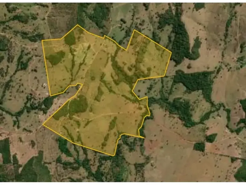 Gleba em Leilão Extrajudicial