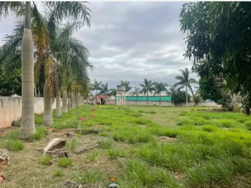 Comercial em leilão