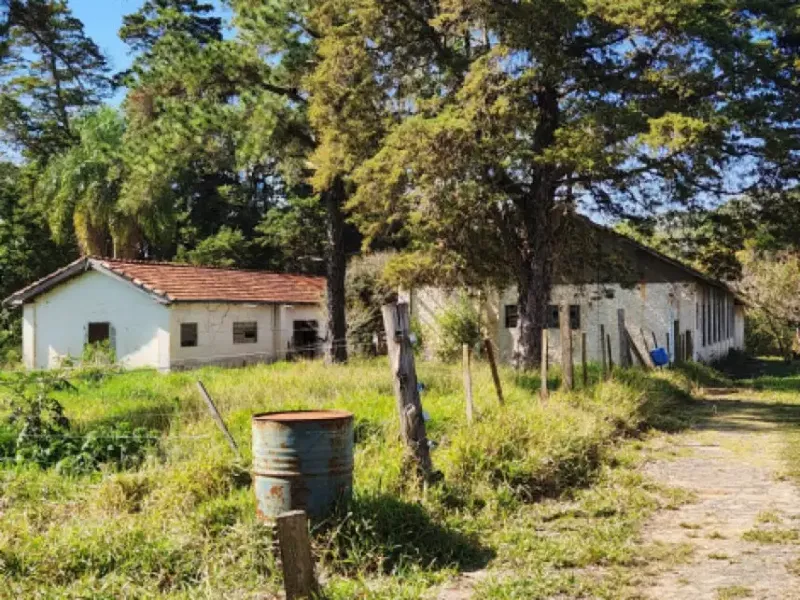 Comercial em leilão