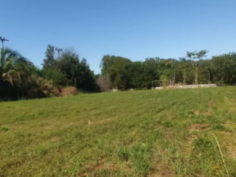 Comercial em leilão