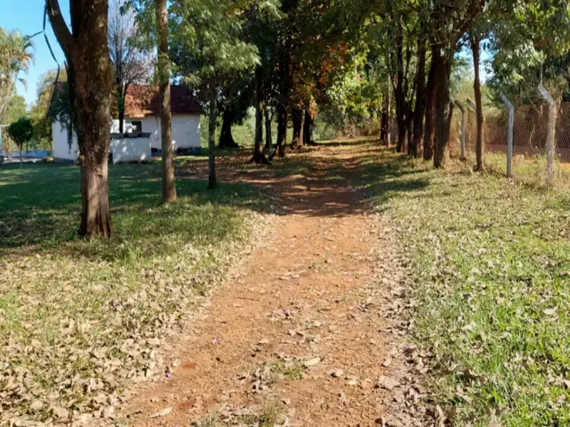 Comercial em leilão