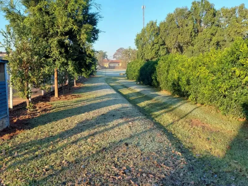 Comercial em leilão