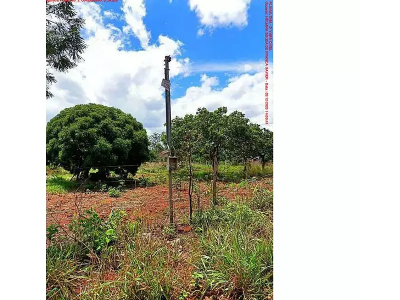 Imóvel rural em leilão