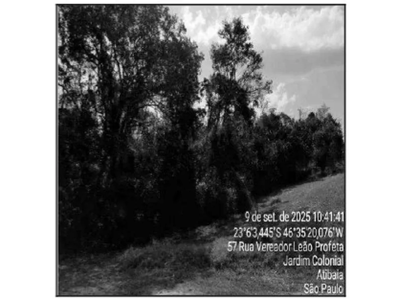 Gleba em Venda Direta