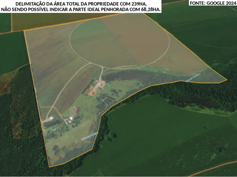 Imóvel rural em leilão