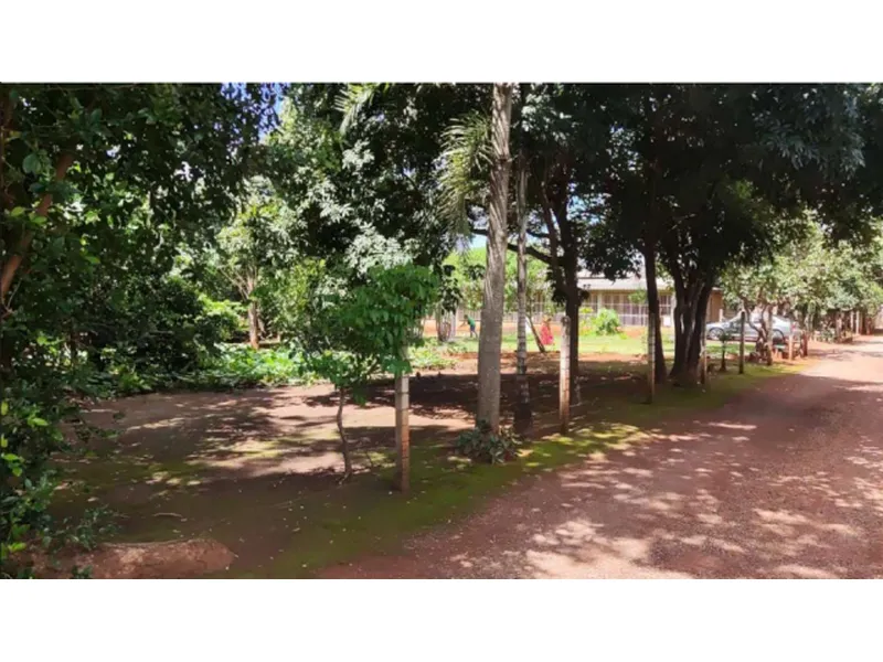 Imóvel rural em leilão
