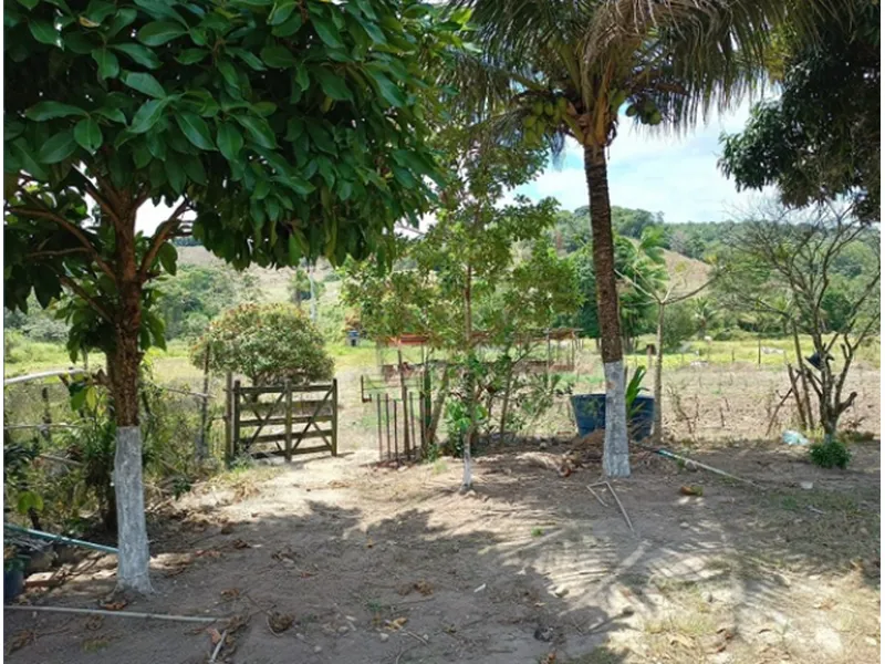 Imóvel rural em Leilão Judicial