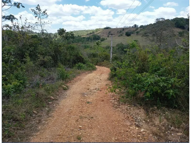 Imóvel rural em leilão