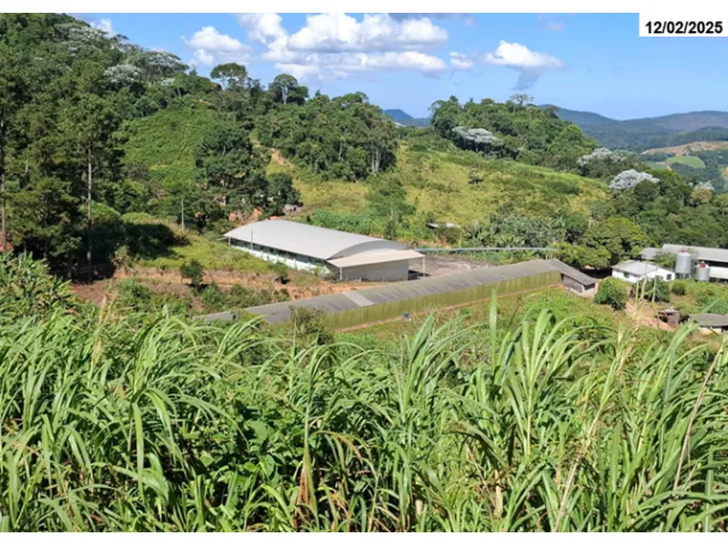 Imóvel rural em Leilão Judicial