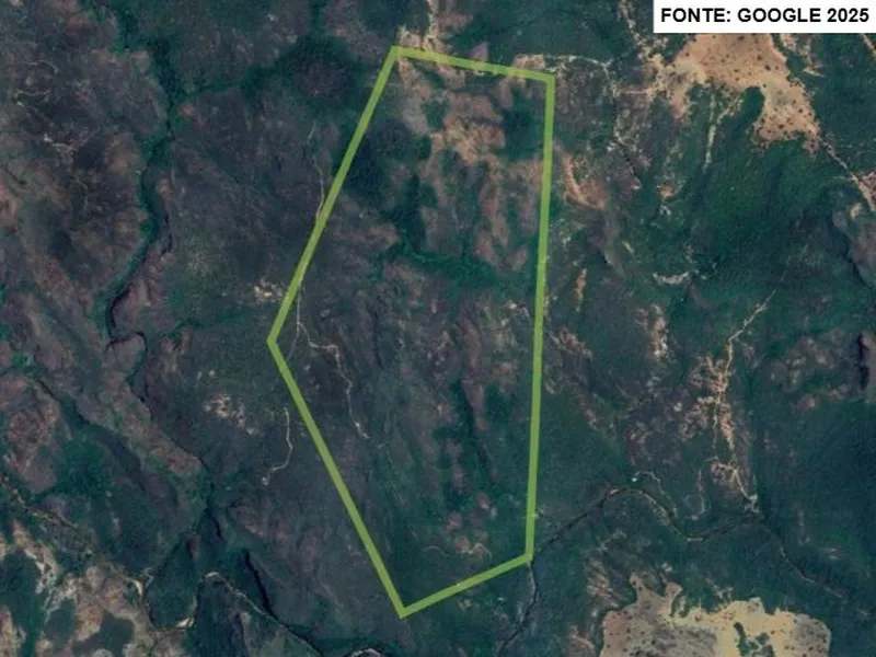 Imóvel rural em leilão