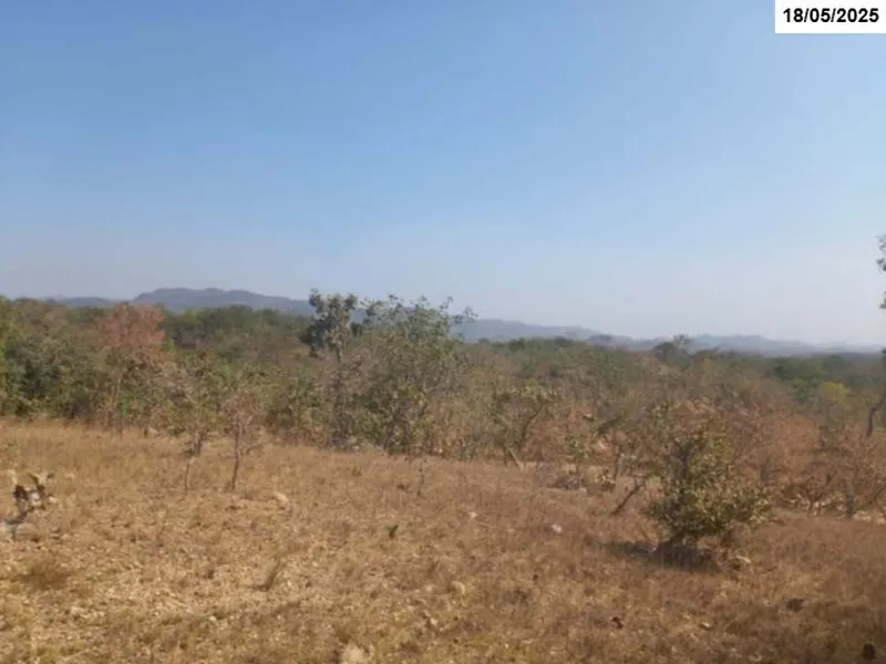 Imóvel rural em leilão