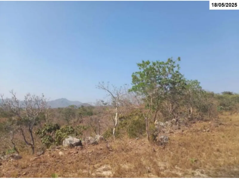 Imóvel rural em leilão