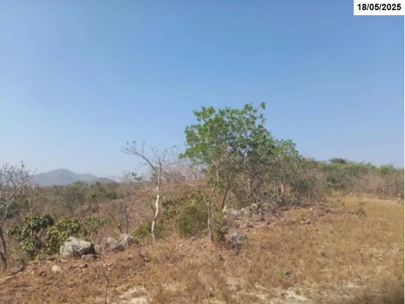 Imóvel rural em leilão