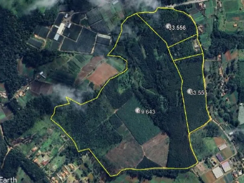 Outros em Leilão Judicial