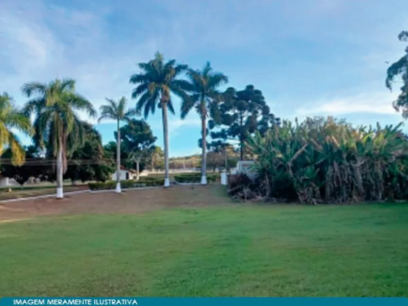 Gleba em Leilão Judicial