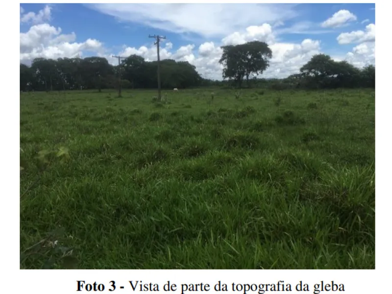 Imóvel rural em leilão