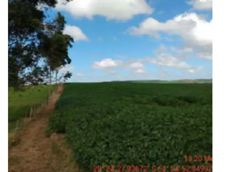 Imóvel rural em leilão